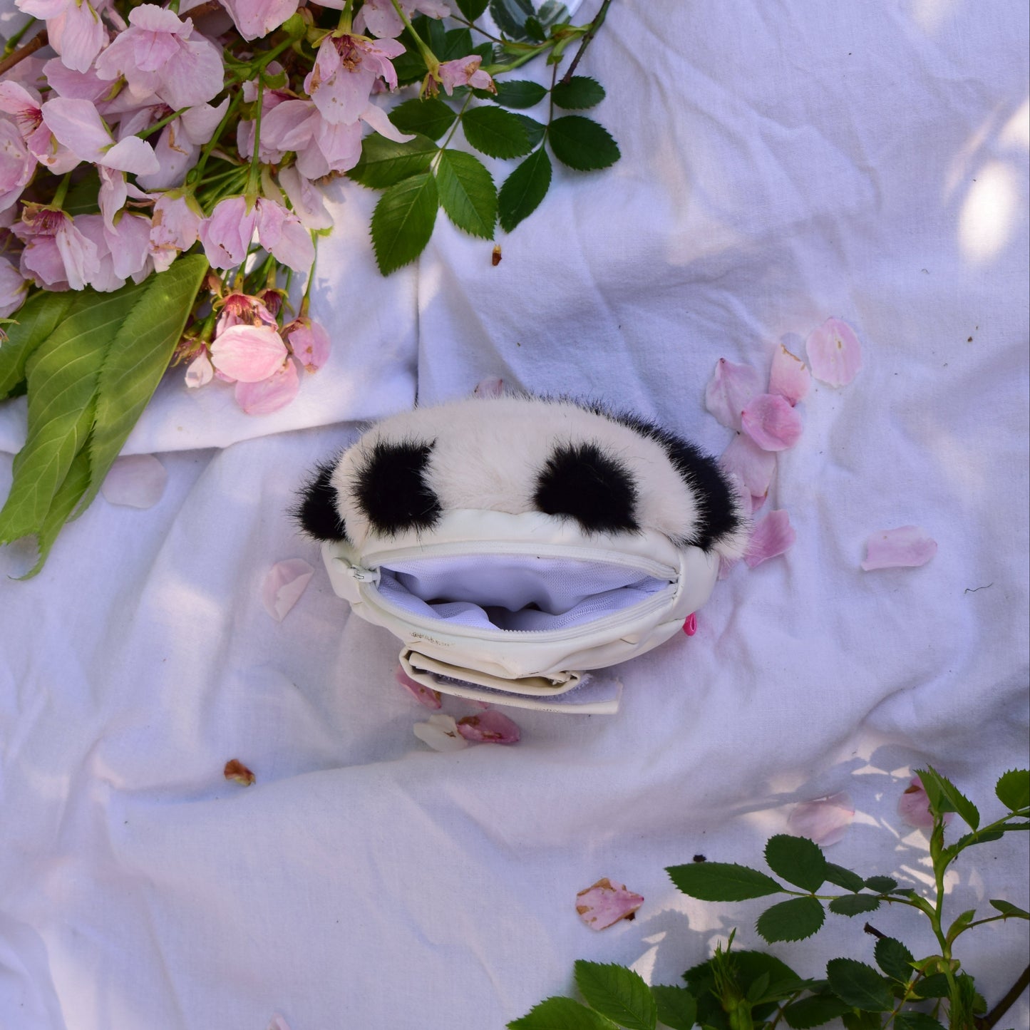 The Panda
