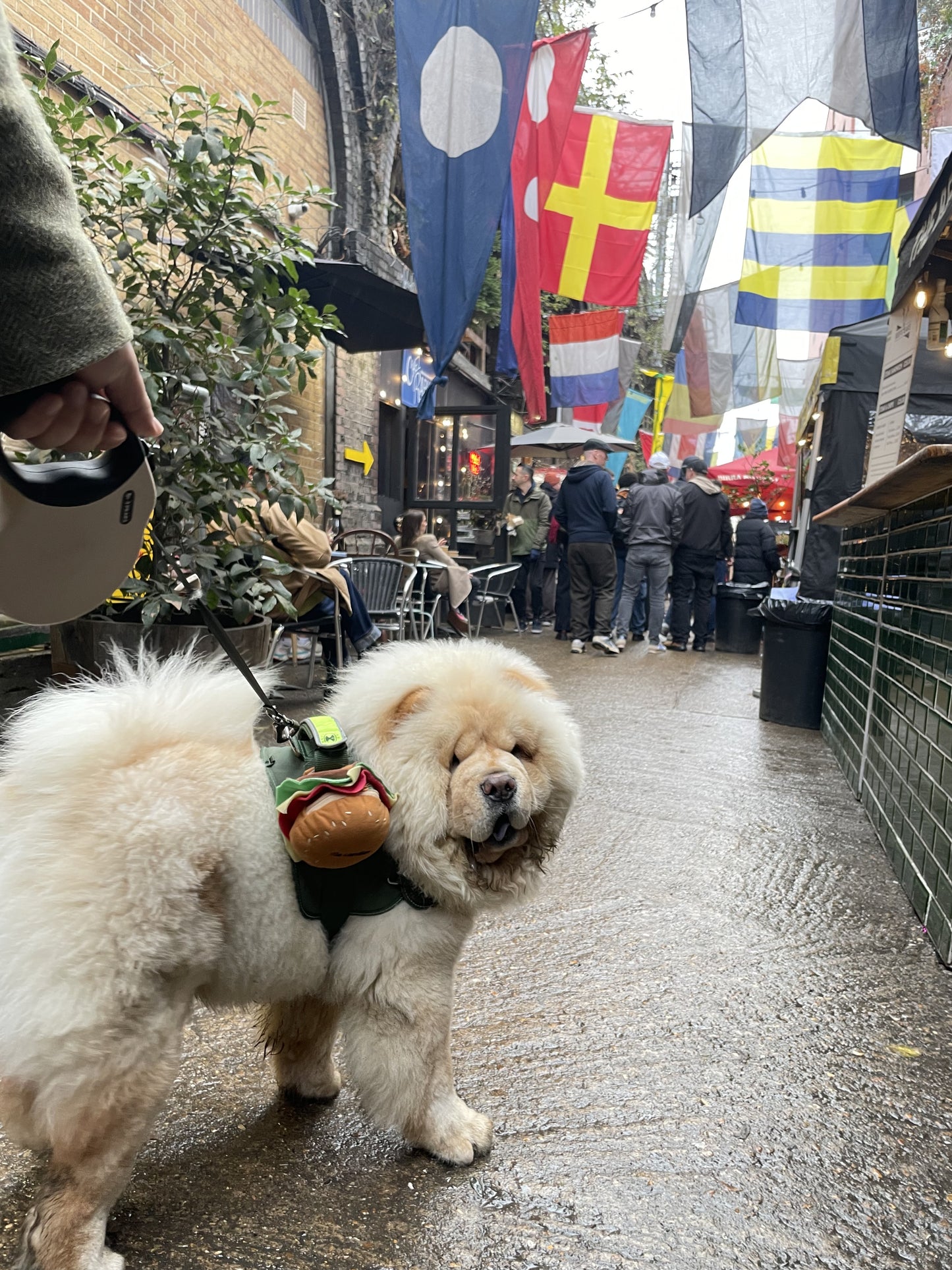 The Burger Pouch - dog self-carried pouchs/bags